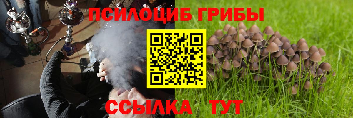 Галлюциногенные грибы Magic Shrooms Пенза