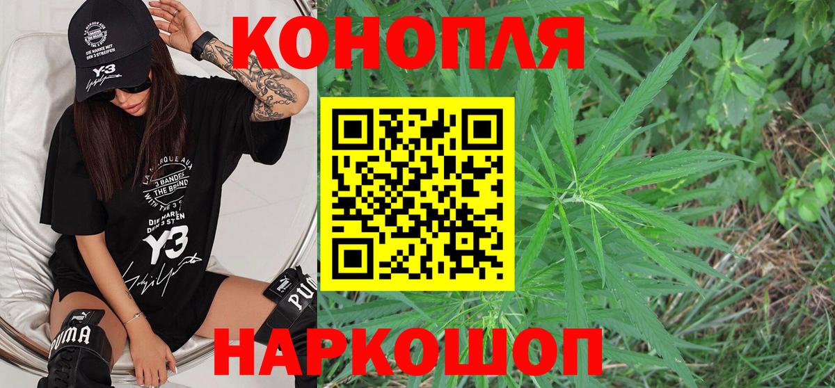 Каннабис гибрид Пенза